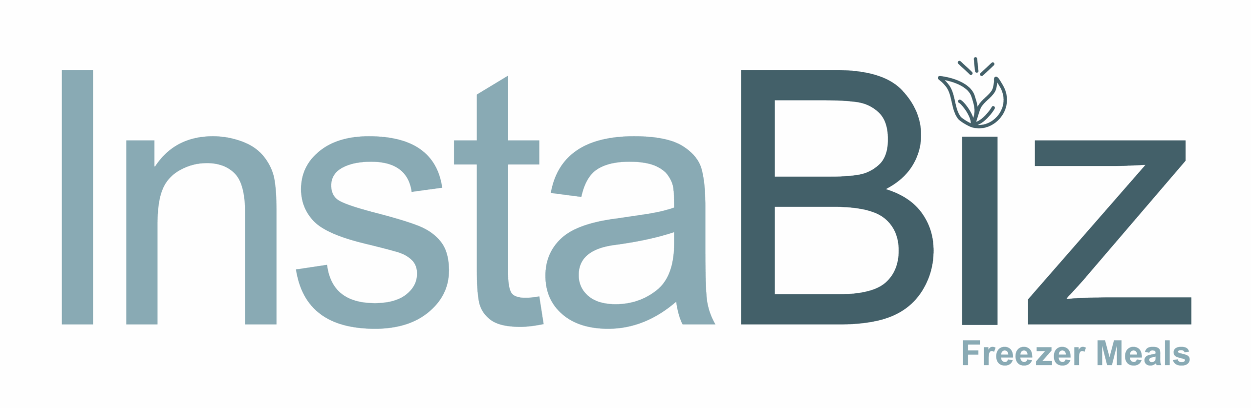 InstaBizgo_long_logo_(6) (1)